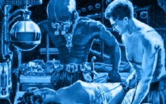 sf-bargain-omnis-blue-jpg